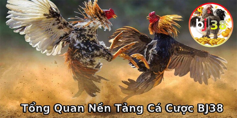 Tổng quan nhà cái uy tín BJ38