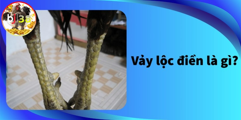 Vảy Lộc Điền là gì? 